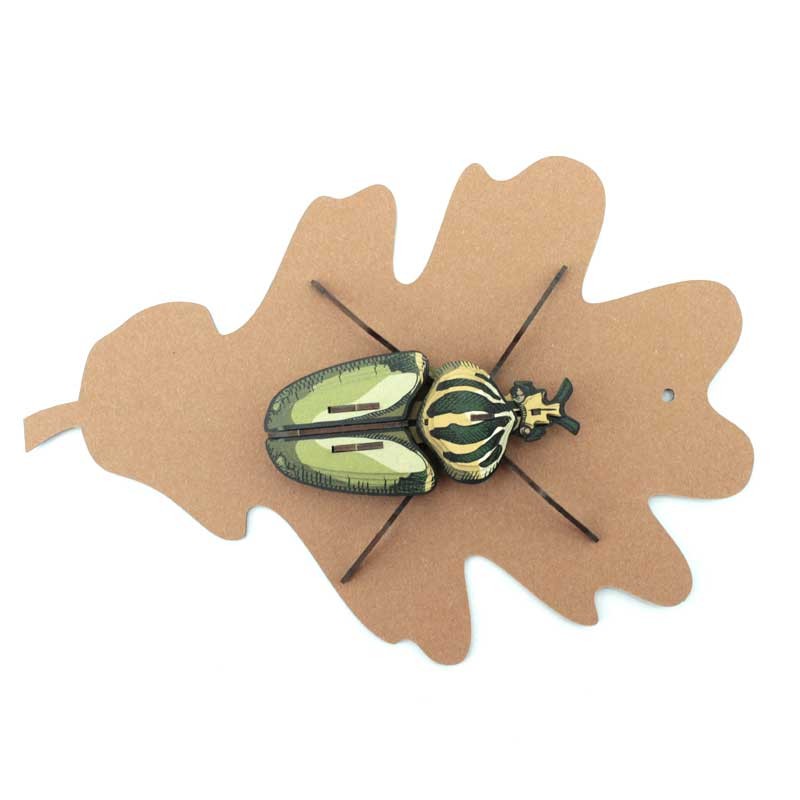 Insecte - Globulus giganticus carton coloré