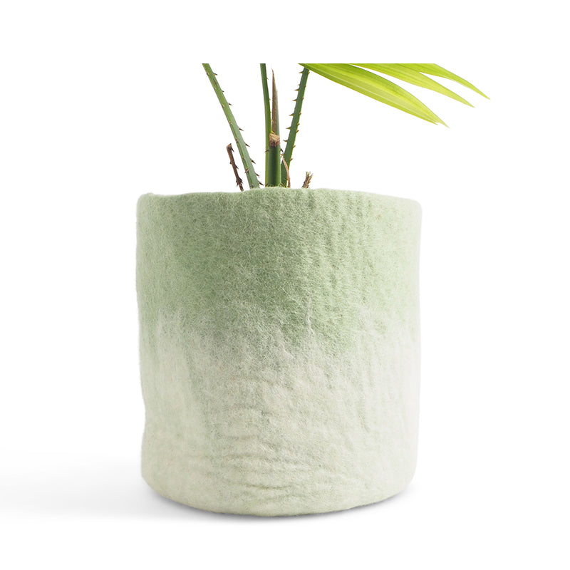 Pot en laine taille L - Sage green