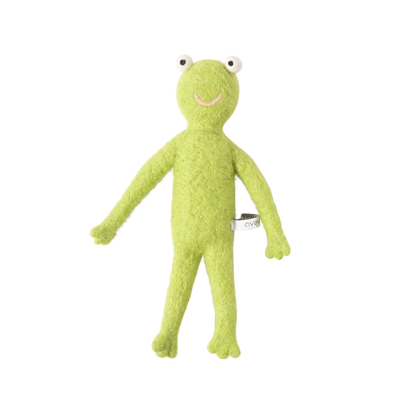 Froggy la grenouille (froggy the frog)
