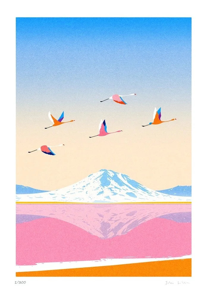 Affiche Julie Guillem - N2 Atacama