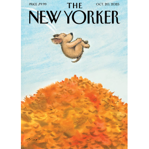 Affiche THE NEWYORKER - 292 Bliss 2020