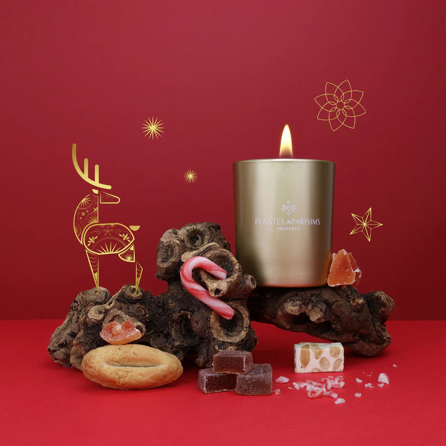 Bougie Végétale Dessert de Noël 180g avec étui