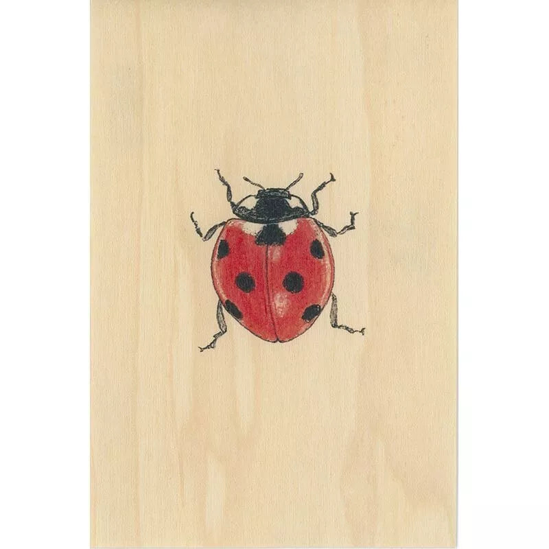 Carte Postale - Black and Colors Coccinelle