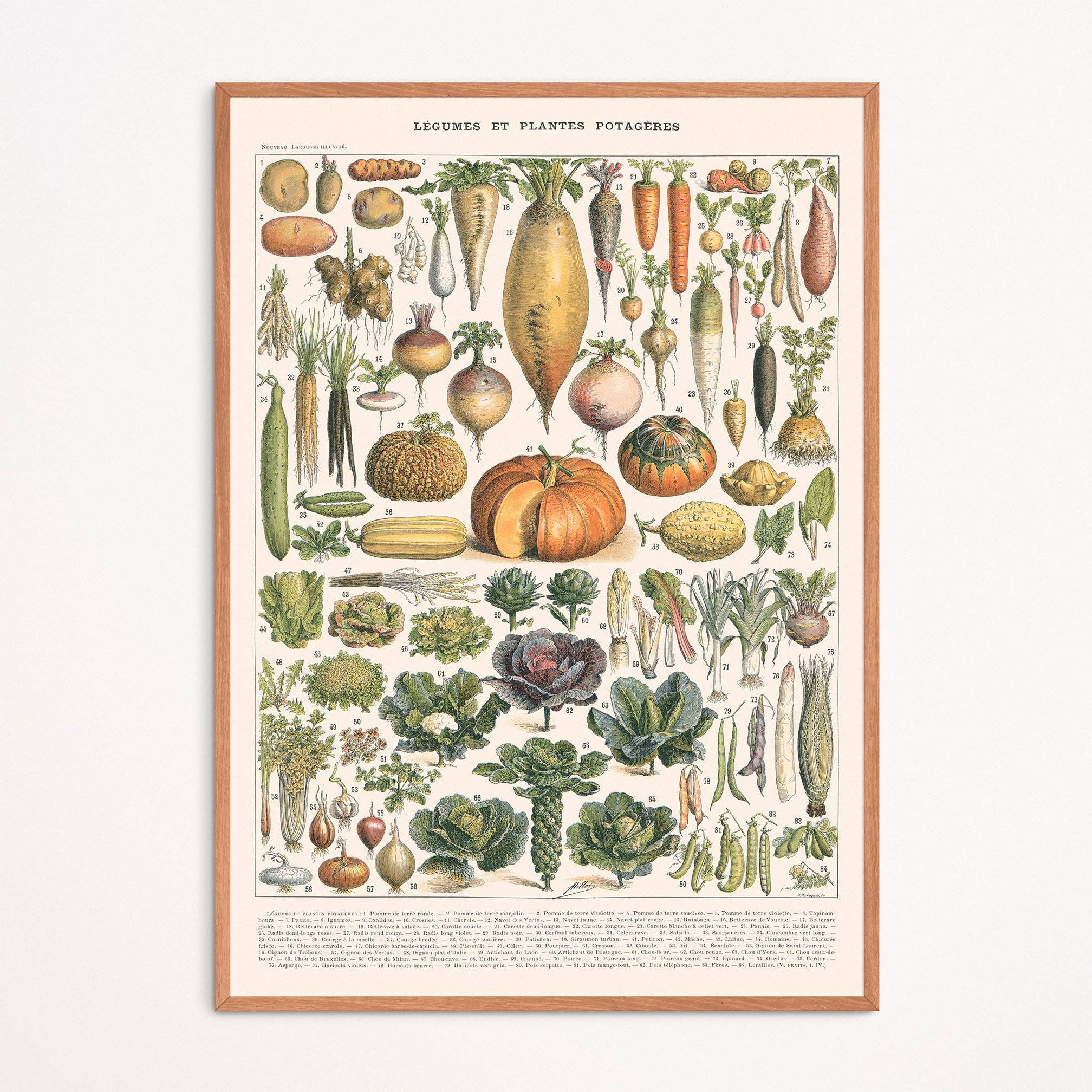 Affiche : Légumes et Plantes Potagères