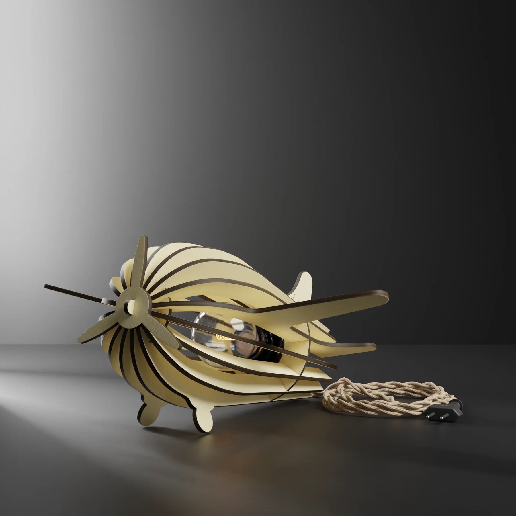 Baladeuse Avion Antoine