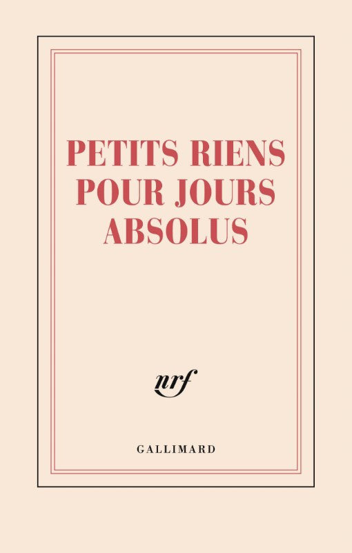 Carnet - PETITS RIENS POUR JOURS ABSOLUS - 12x18,5cm