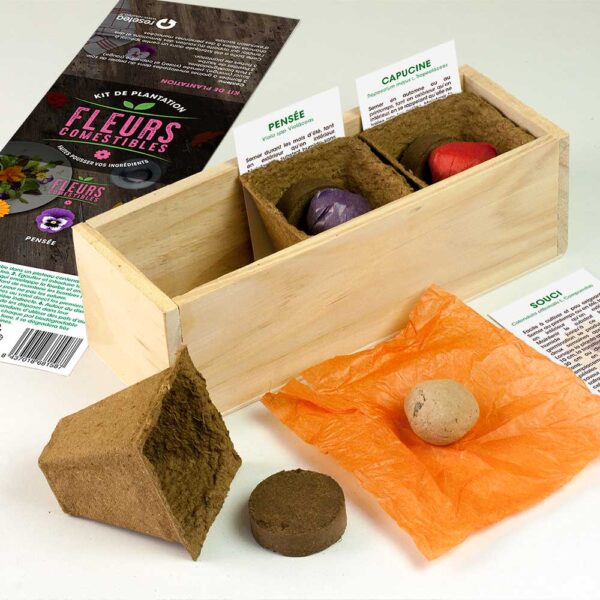 Kit d’Auto-culture Fleurs comestibles (souci, pensée et capucine)