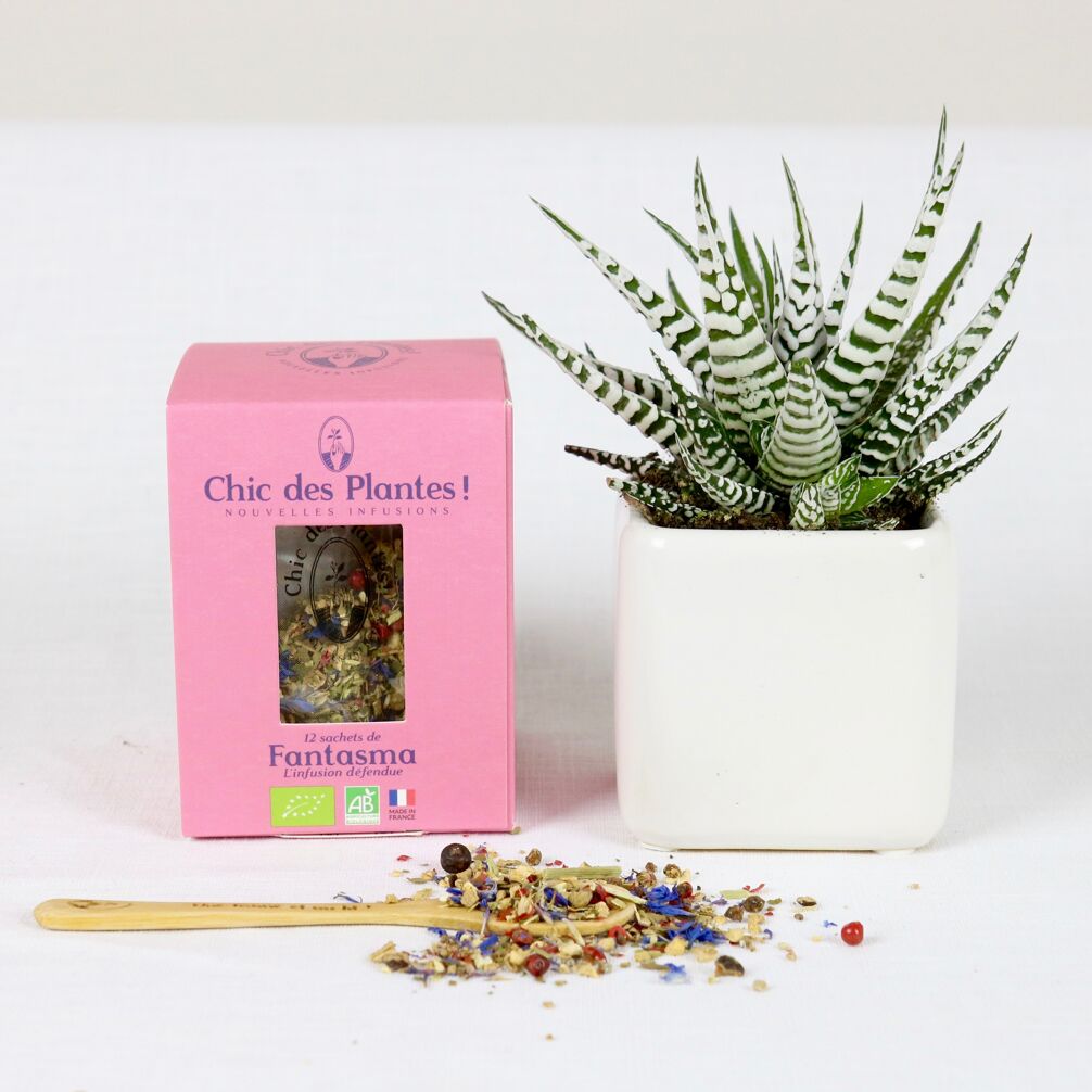 INFUSION BIO FANTASMA (BOÎTE 12 SACHETS) - GINGEMBRE, CITRON, CARDAMOME