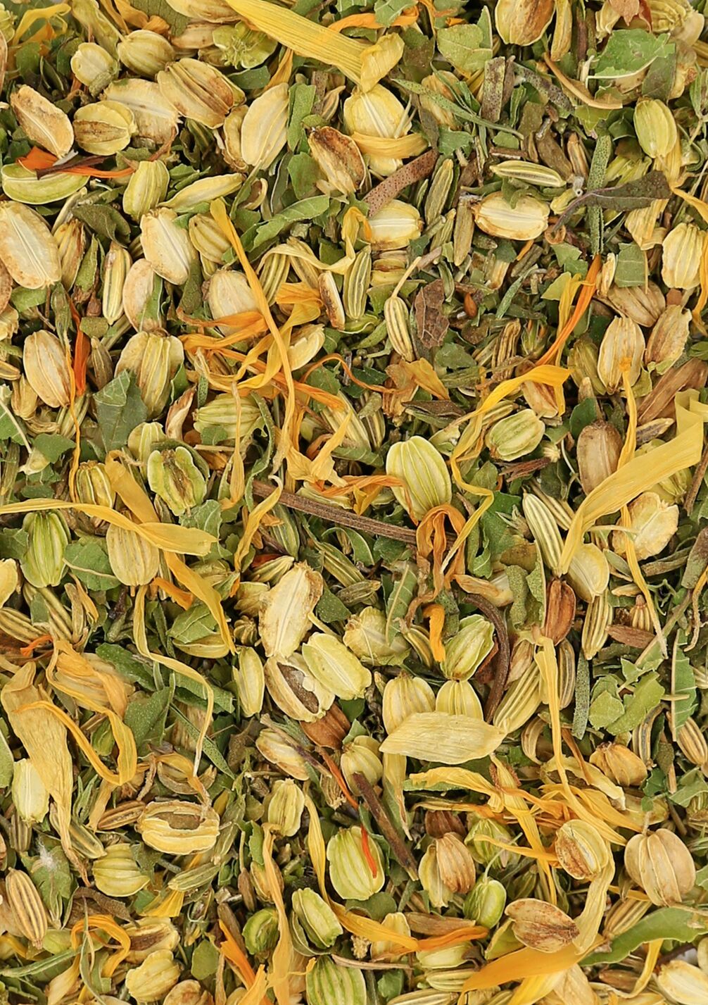 INFUSION BIO POUSSE DÉLICE (BOÎTE 12 SACHETS) - DIGESTION - FENOUIL, VERVEINE
