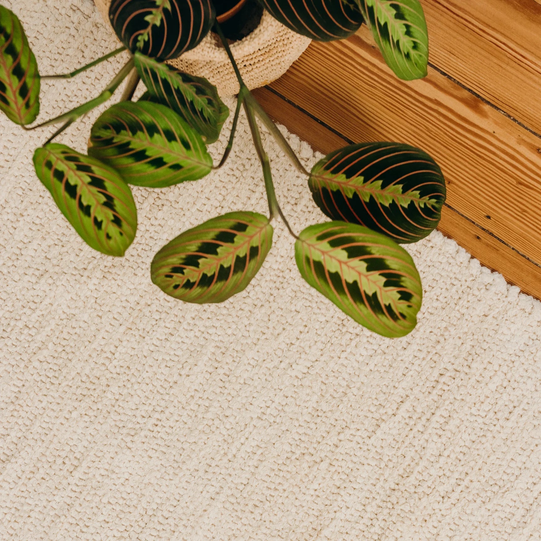 Tapis écru en coton recyclé