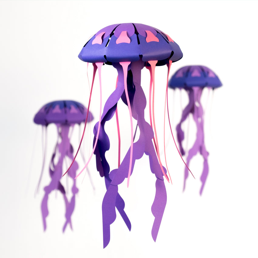 Origami Méduse rayonnée Chrysaora hysoscella