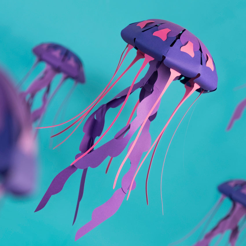 Origami Méduse rayonnée Chrysaora hysoscella