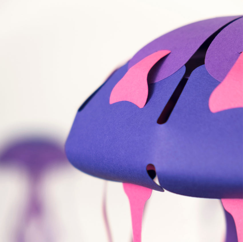 Origami Méduse rayonnée Chrysaora hysoscella