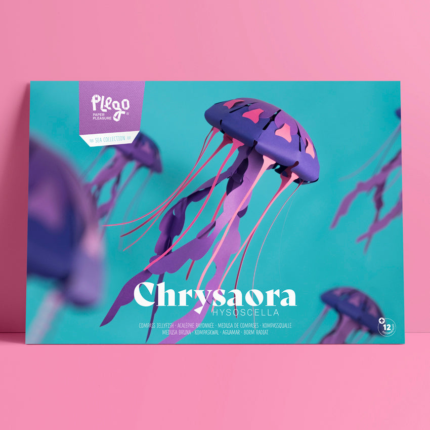 Origami Méduse rayonnée Chrysaora hysoscella