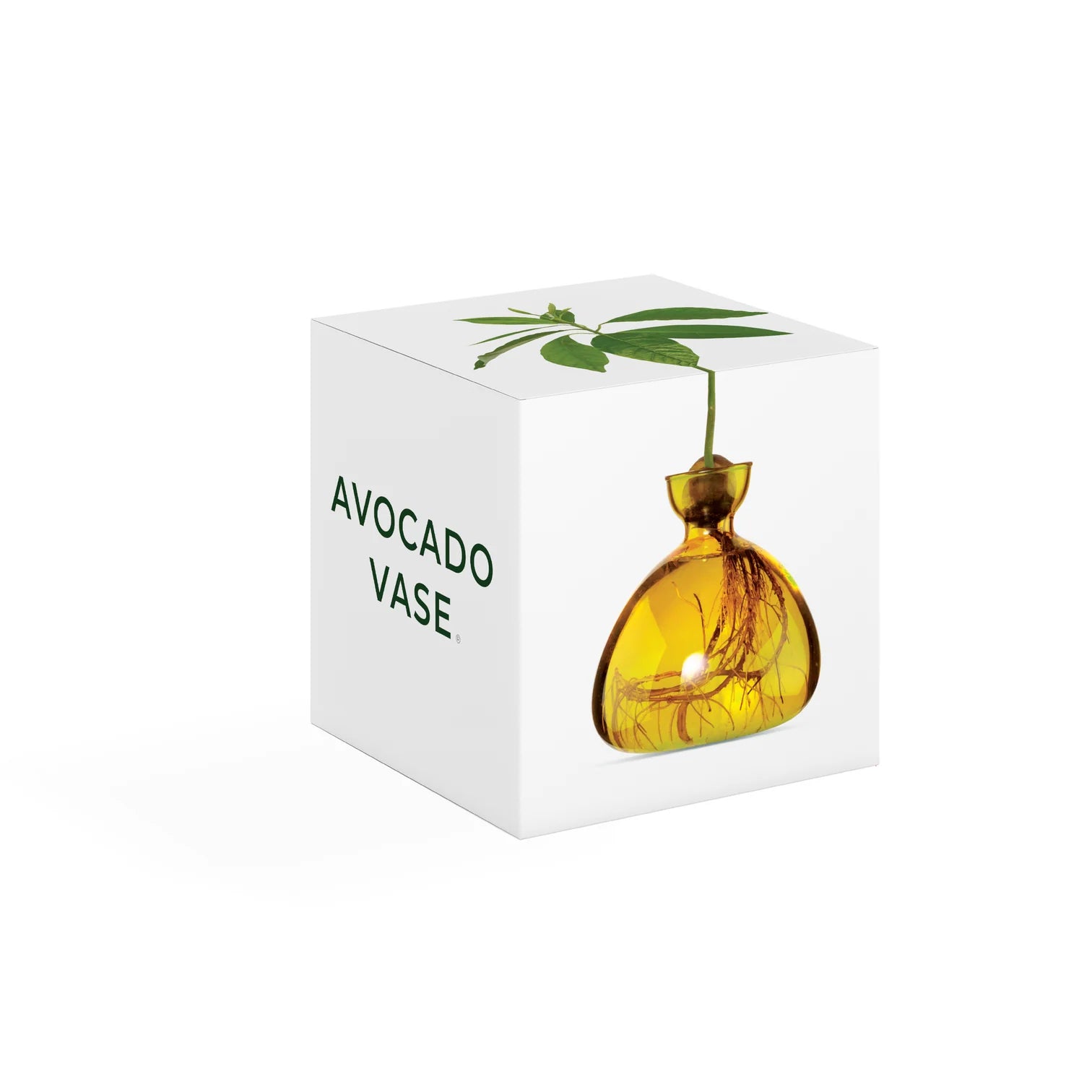 Vase avocat Mellow Yellow
