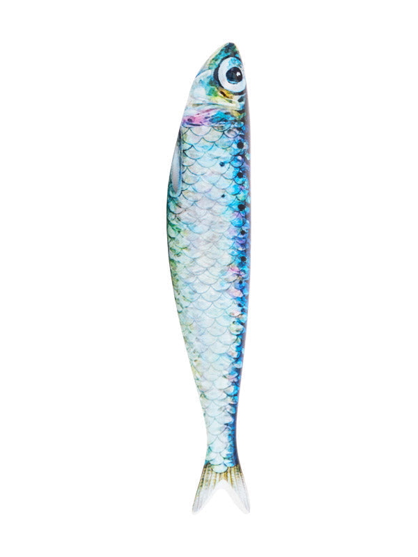Sardine - Monde