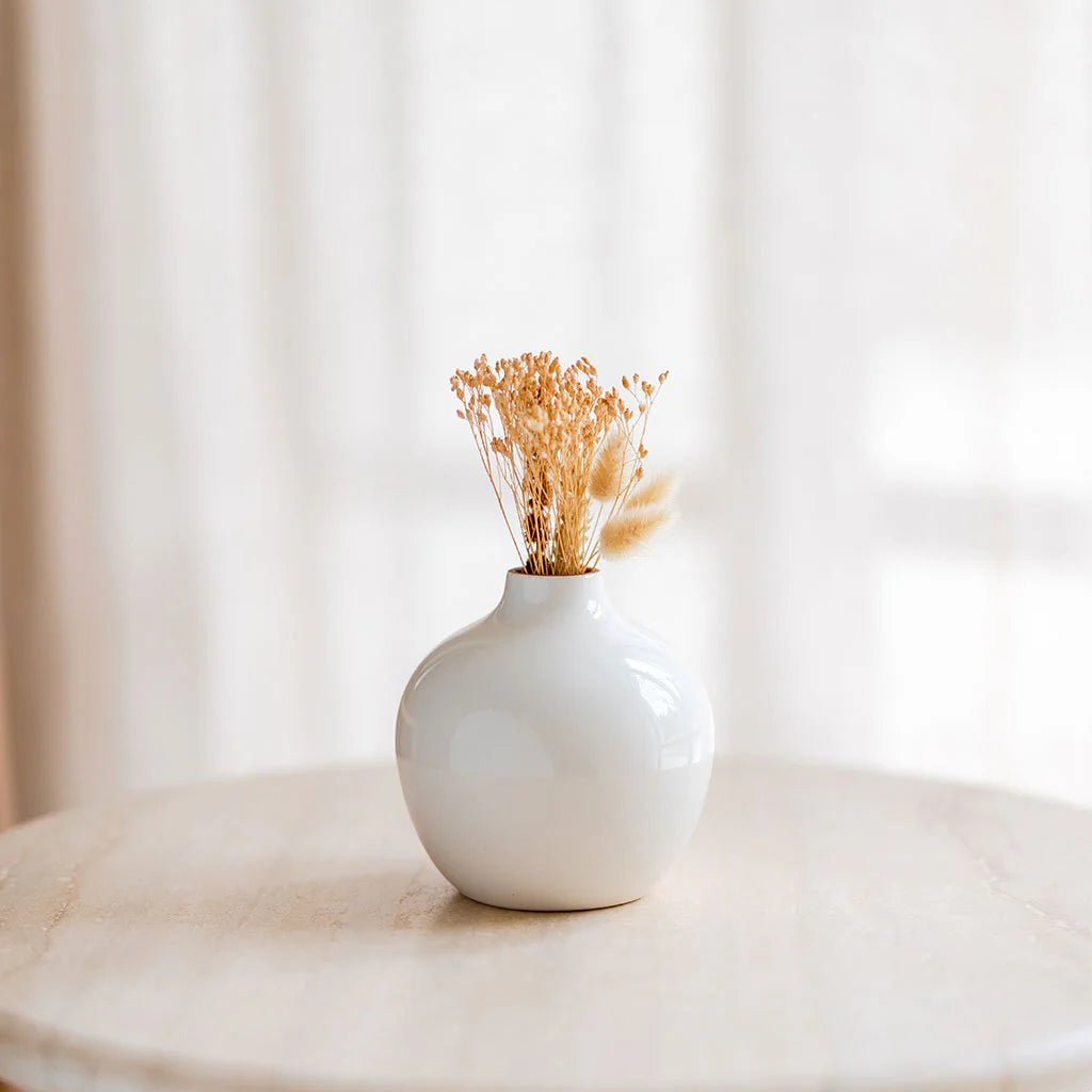 Soliflore S Mediterranea uni blanc