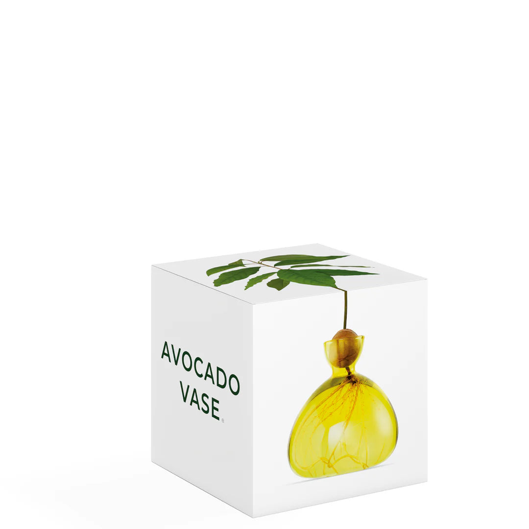 Vase avocat Jaune