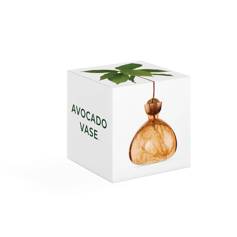 Vase Avocat Abricot