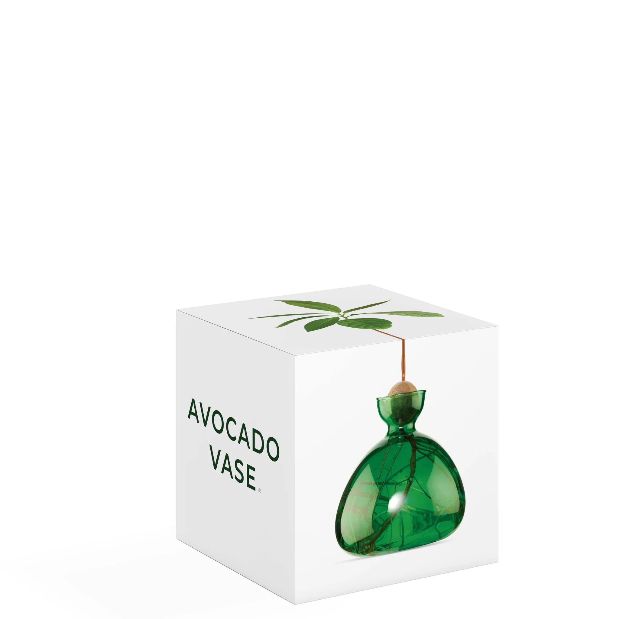 Vase avocat Vert Emeraude