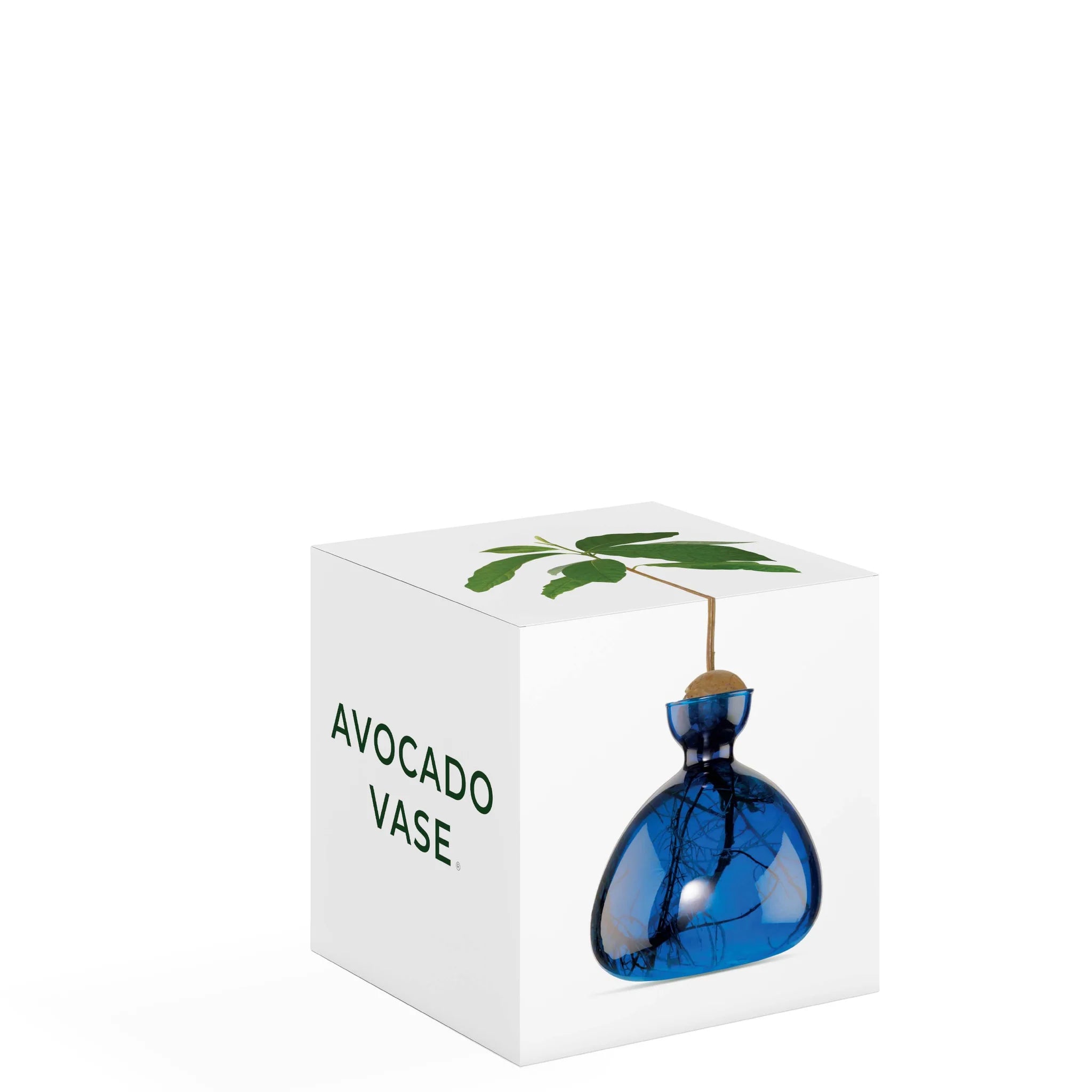 Vase avocat bleu