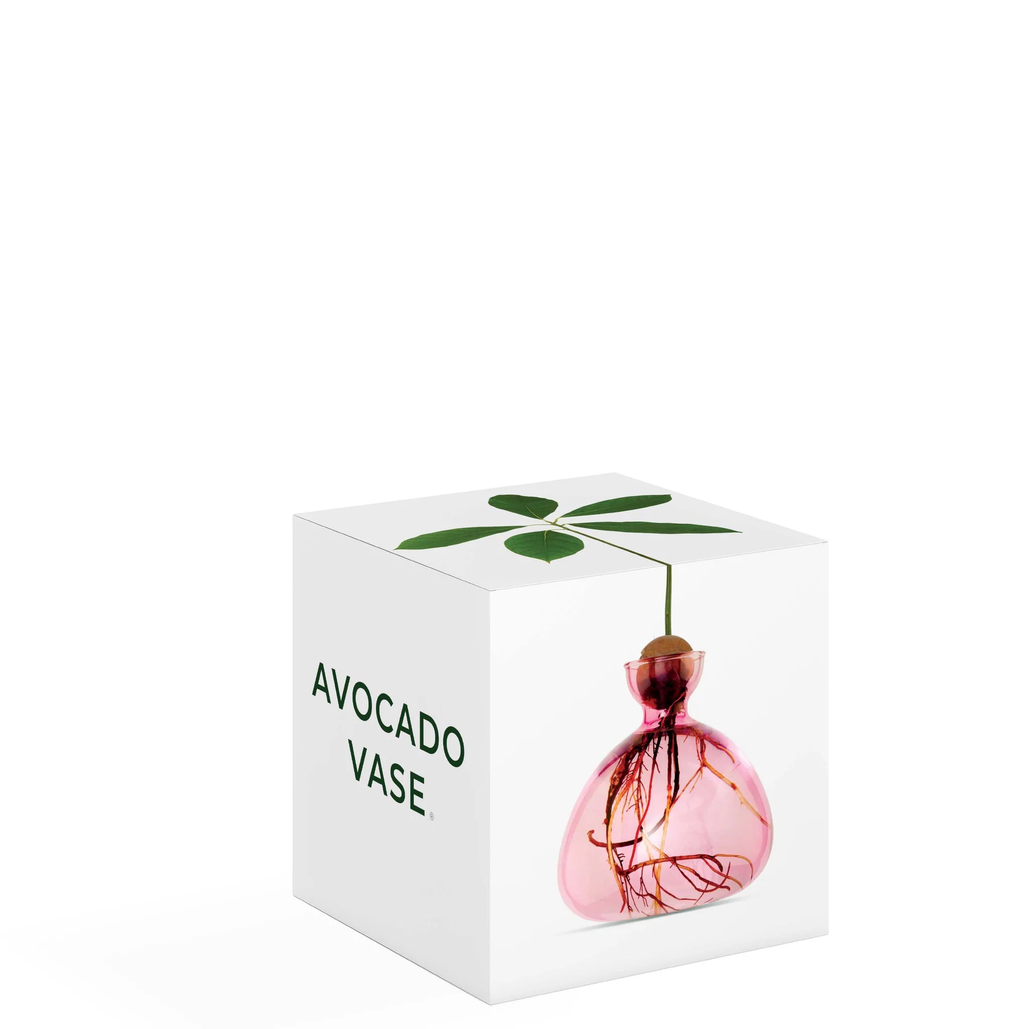 Vase avocat rose