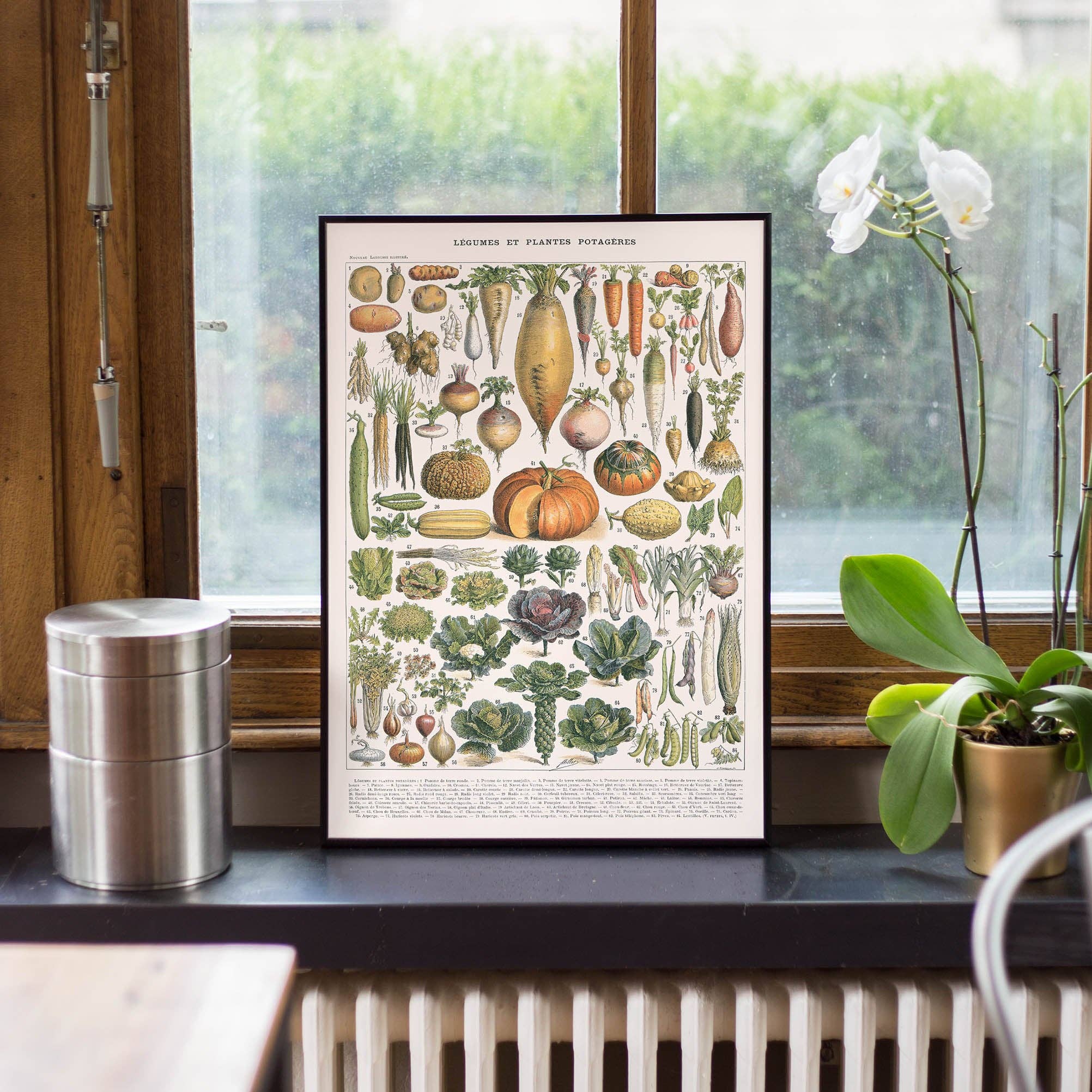 Affiche : Légumes et Plantes Potagères