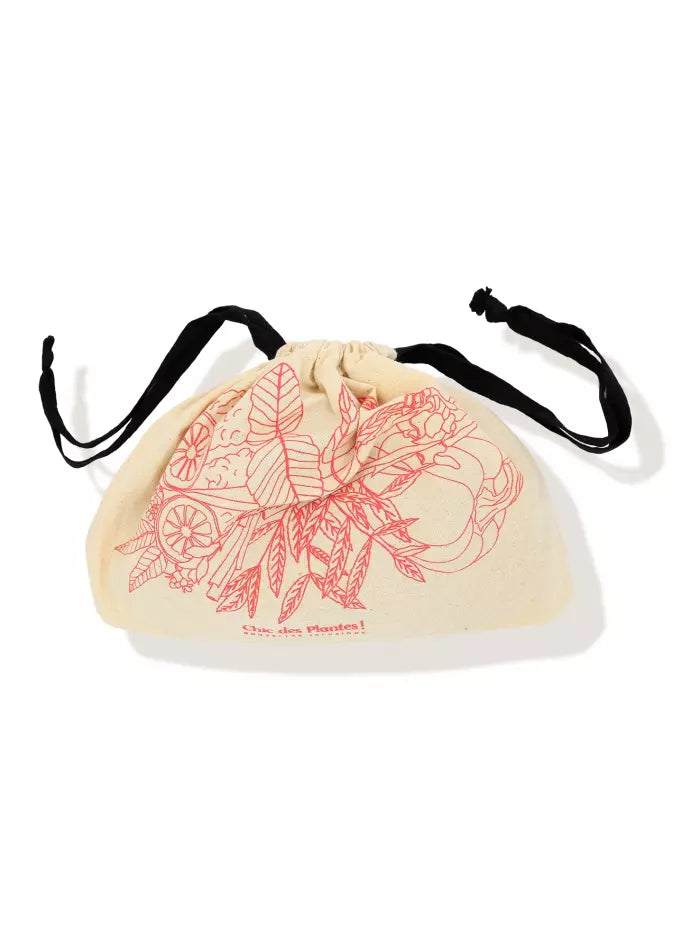 Cure L'Eau Svelte - pochon de 20 sachets d'infusions et bouillons bio