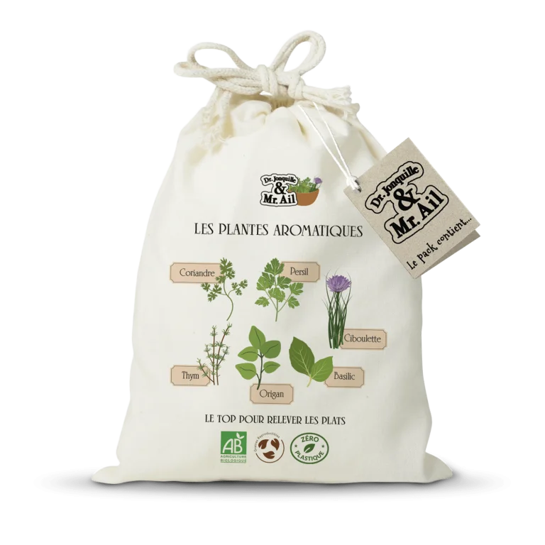 Kit de plantation -  les plantes aromatiques