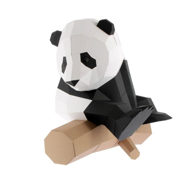 Petit Panda sur branche