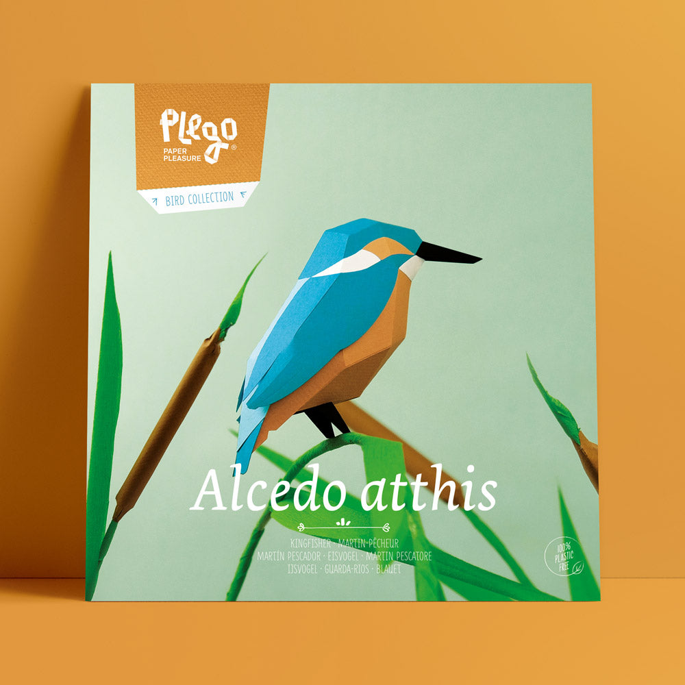 Origami Martin pêcheur Alcedo atthis