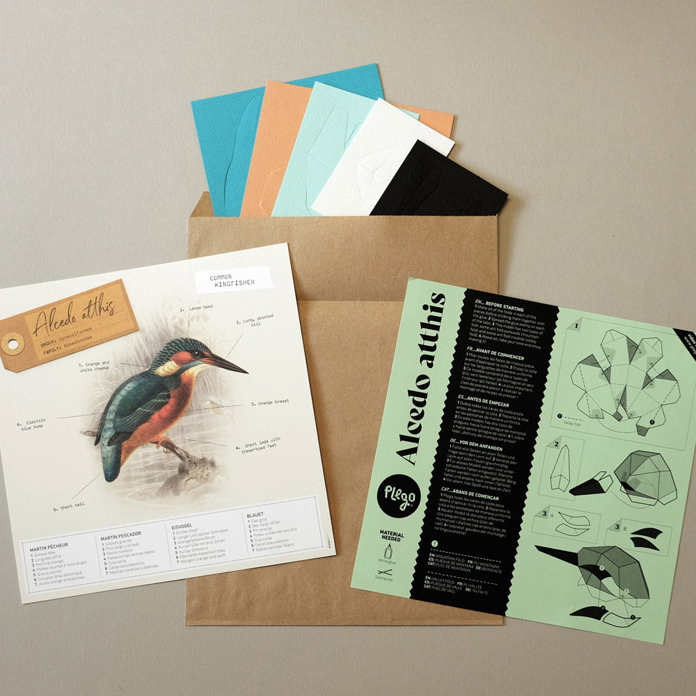 Origami Martin pêcheur Alcedo atthis