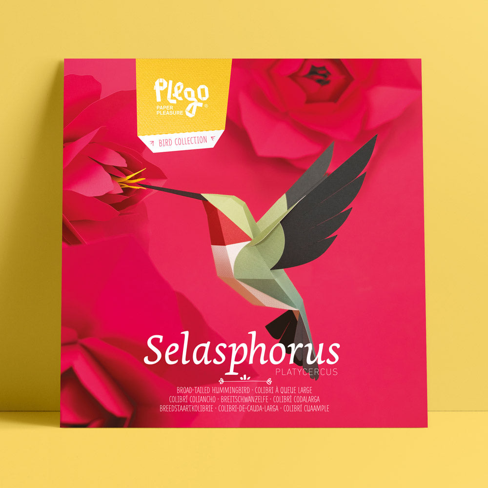 Origami Colibri Selasphorus platycercus