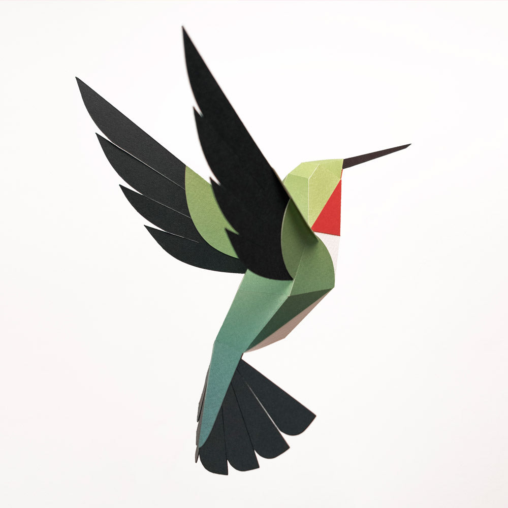 Origami Colibri Selasphorus platycercus