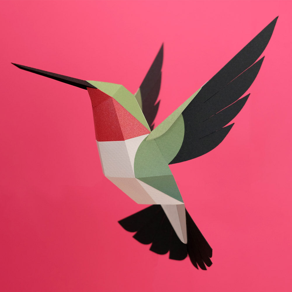 Origami Colibri Selasphorus platycercus