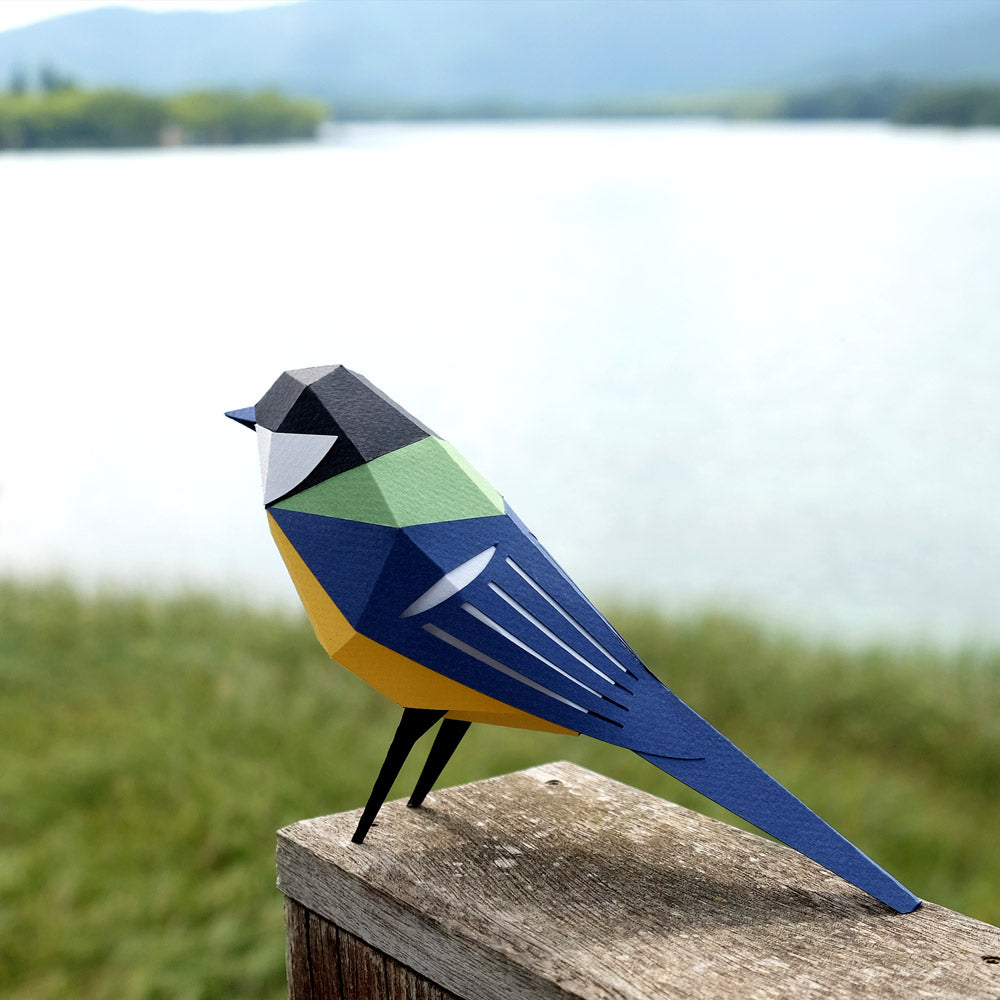 Origami Mésange charbonnière Parus major