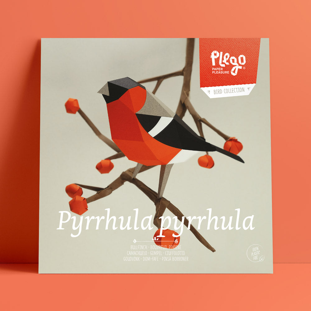 Origami Bouvreuil pivoine Pyrrhula pyrrhula