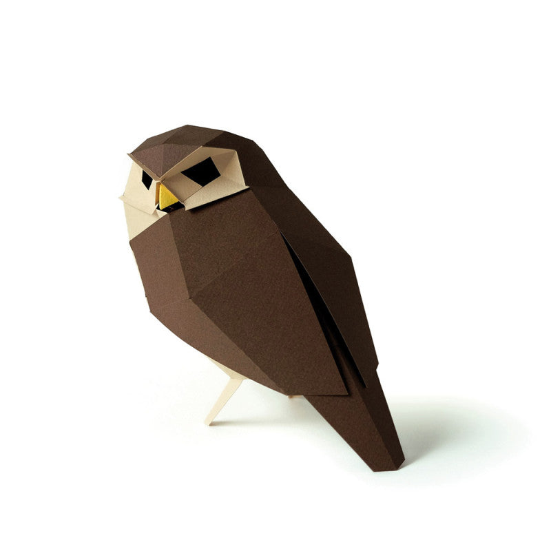Origami Chouette - Athene noctua