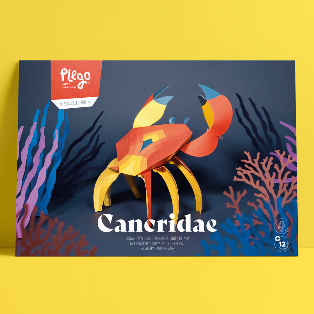 Origami Crabe Cancridae