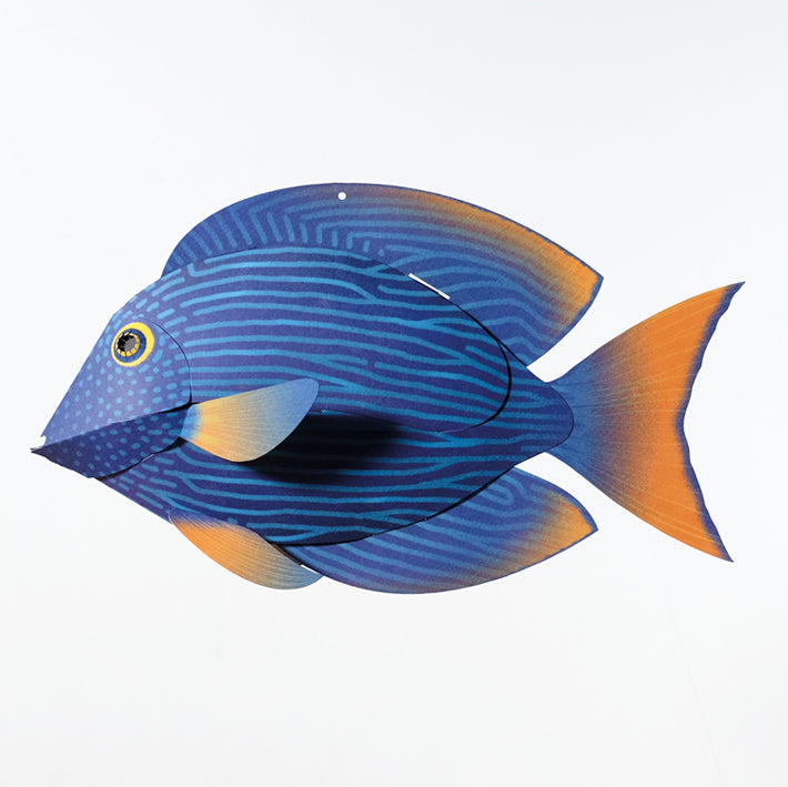 Origami Poisson Strigosus