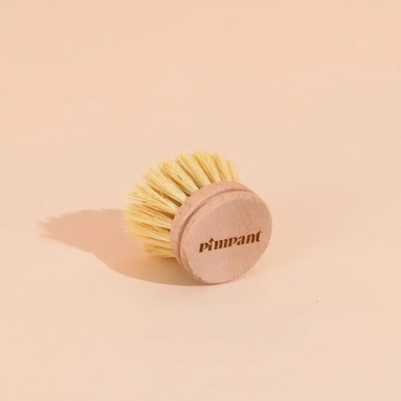 Tête de rechange - brosse vaisselle
