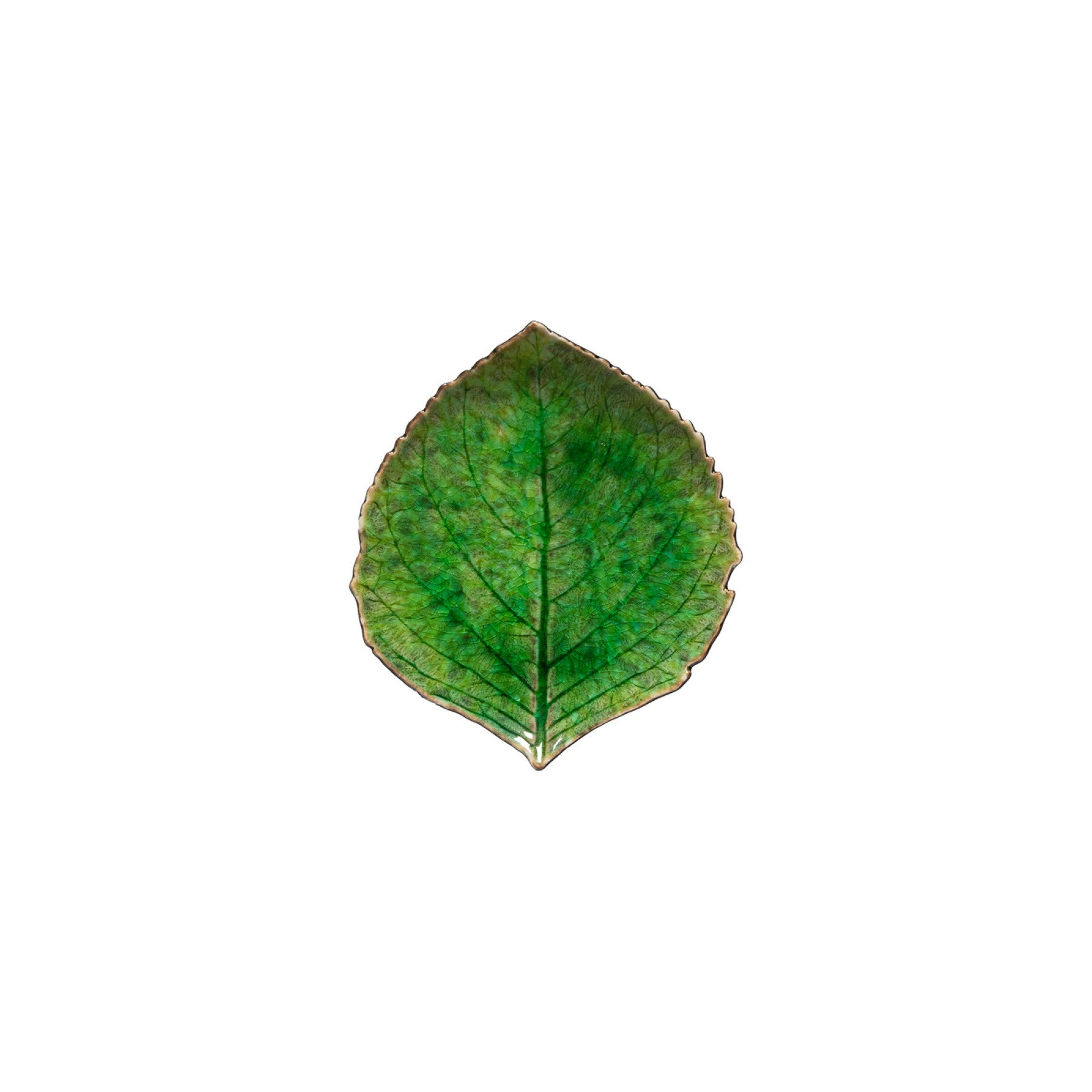 Plat feuille dentelle Hydrangea Riviera 17 cm