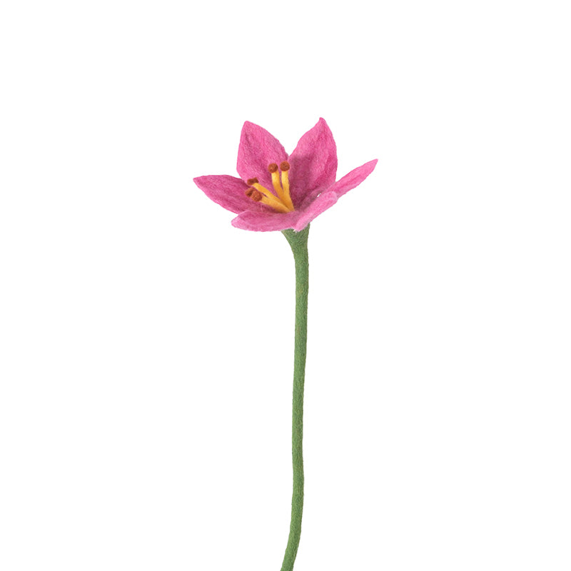 Fleur de Lys - Lily rose