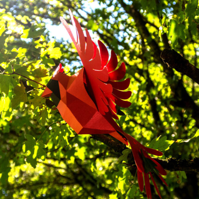 Oiseau cardinal rouge - origami