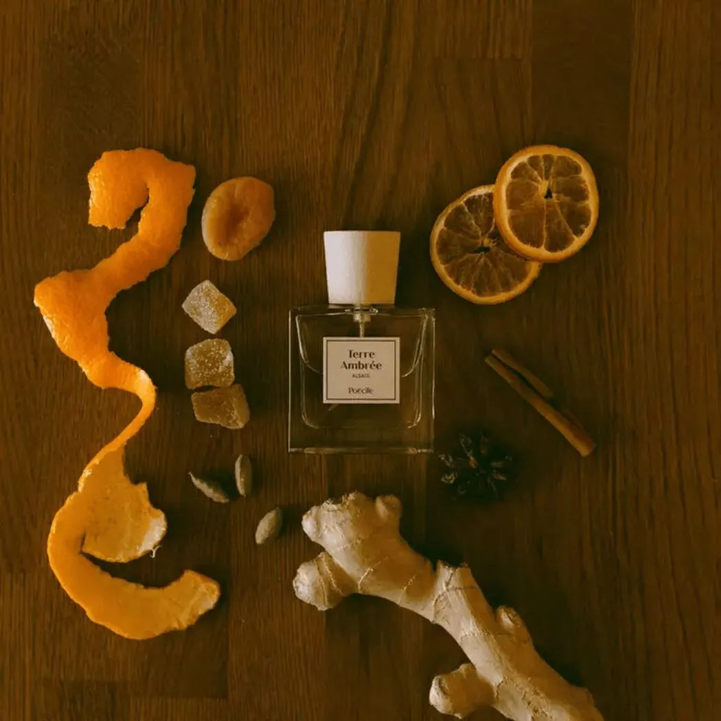 Eau de parfum 50 ml- Terre Ambrée - Alsace