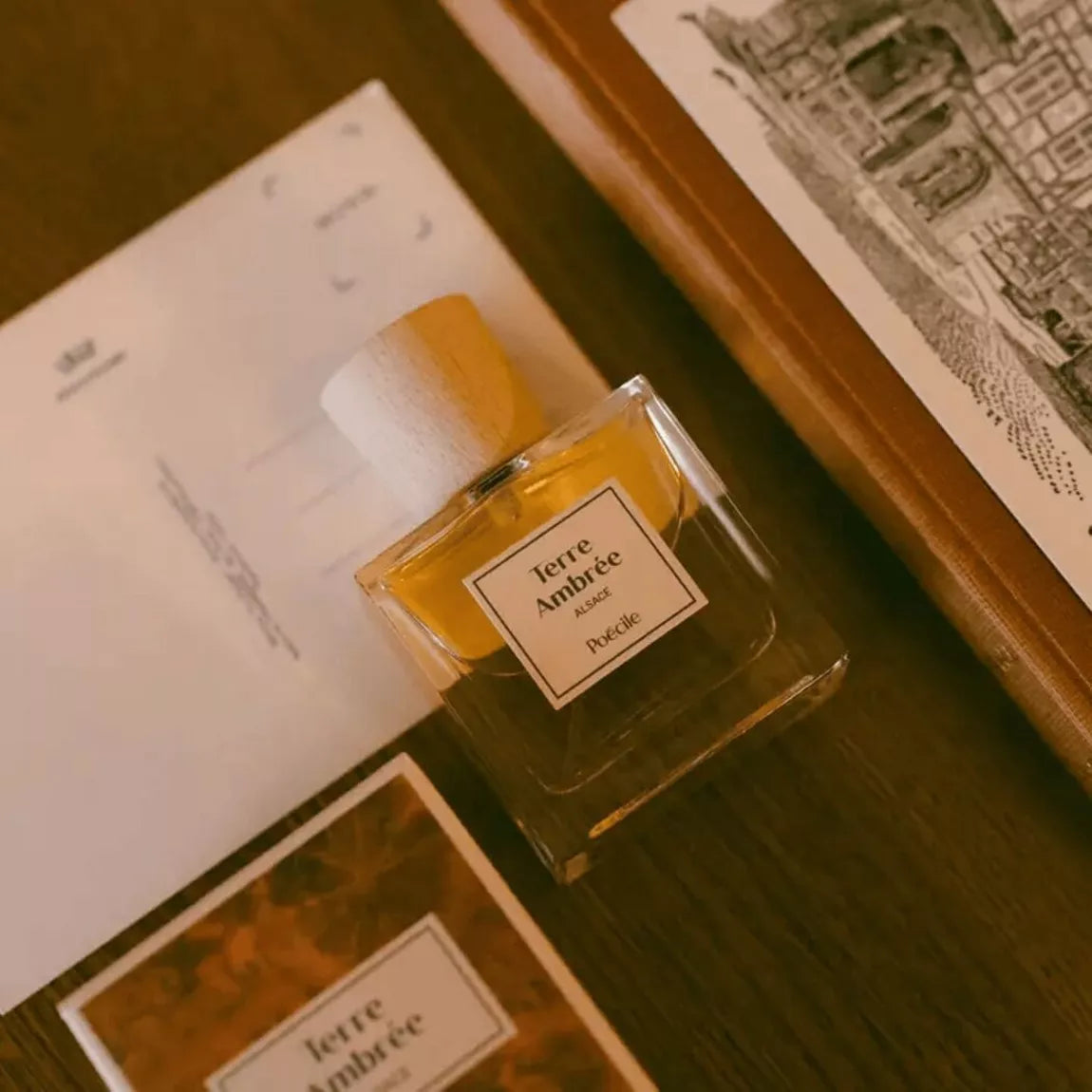 Eau de parfum 50 ml- Terre Ambrée - Alsace