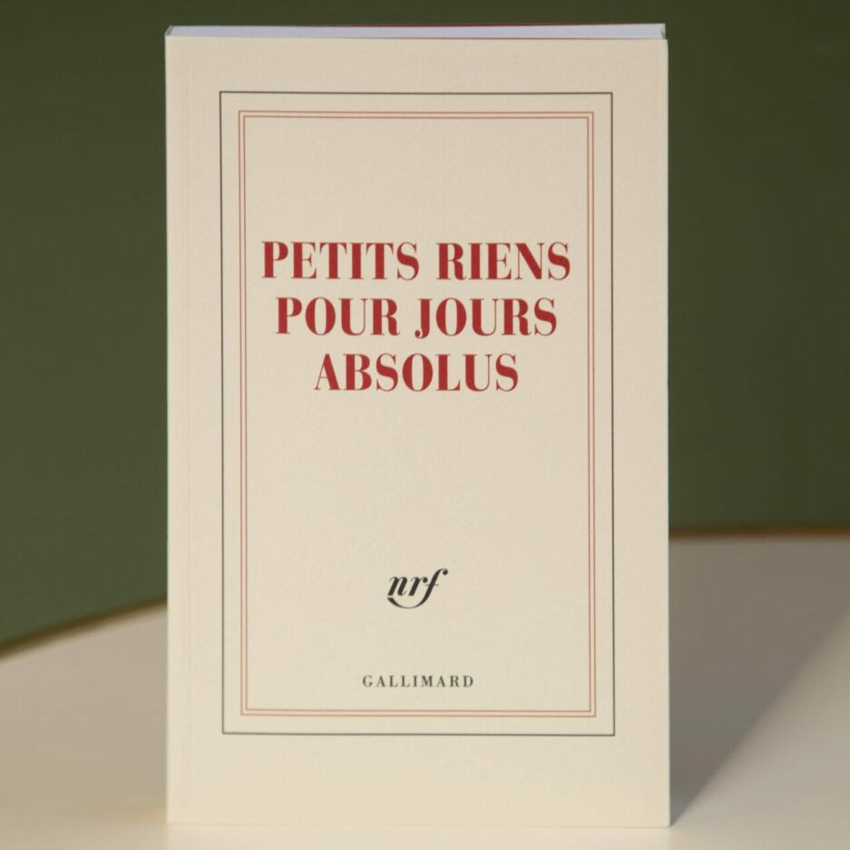 Carnet - PETITS RIENS POUR JOURS ABSOLUS - 12x18,5cm