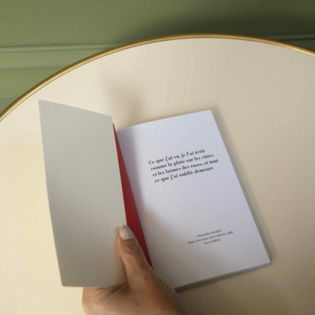 Carnet - PETITS RIENS POUR JOURS ABSOLUS - 12x18,5cm