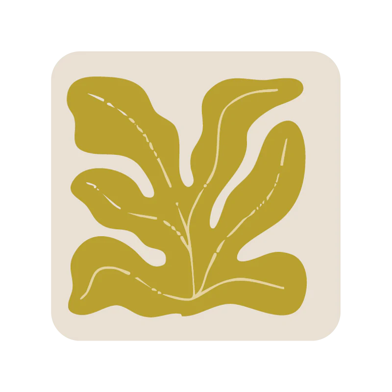 Dessous de verre x 1 - Algues - Pistache