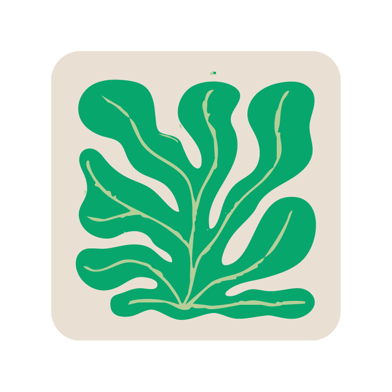 Dessous de verre x 1 - Algues - Vert Lotus